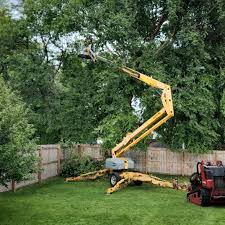Best Hedge Trimming  in Vance, AL