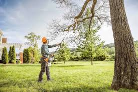 How Our Tree Care Process Works  in  Vance, AL