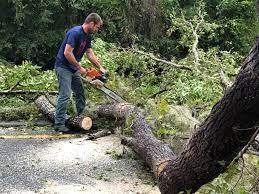 Best Tree Disease Treatment  in Vance, AL