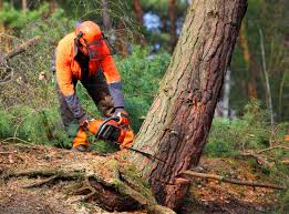 Best Pest Control for Lawns  in Vance, AL
