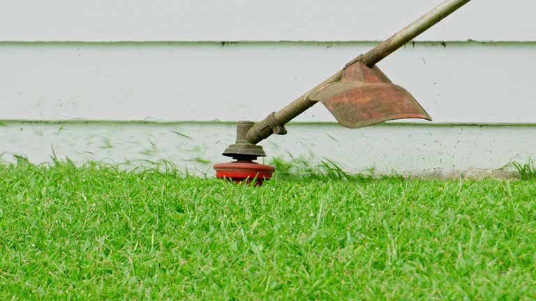 Best Tree Risk Assessment  in Vance, AL